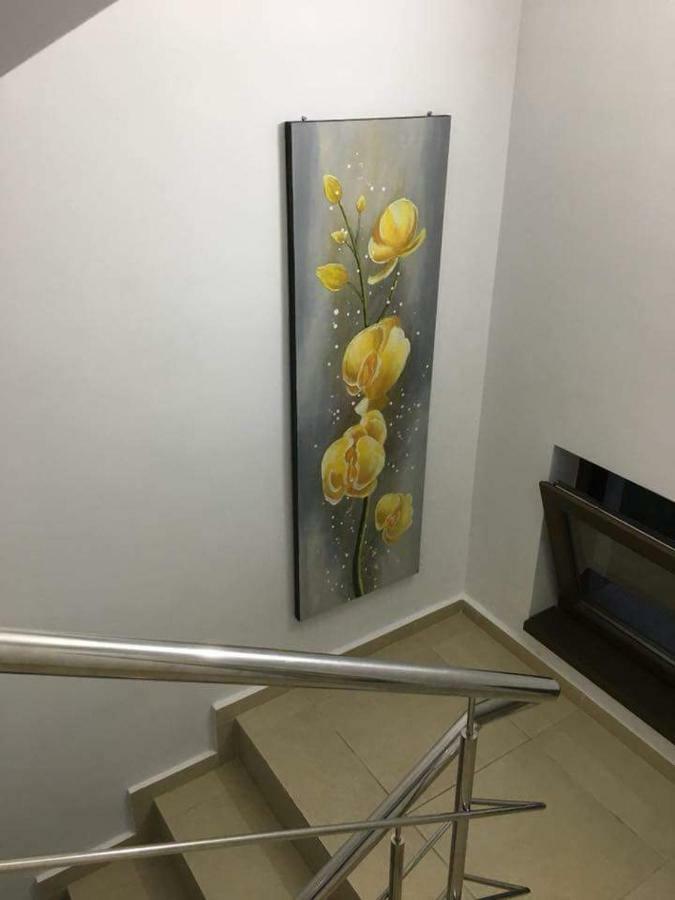 Elegance 호텔 코스티네스티 외부 사진